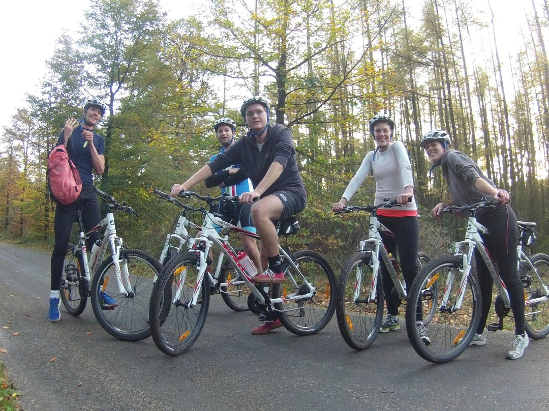 Mountainbiken Op De Veluwe-Emst必去景点