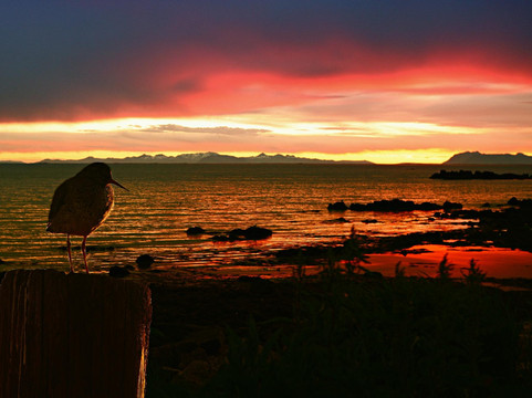 AT Iceland-Akranes必去景点
