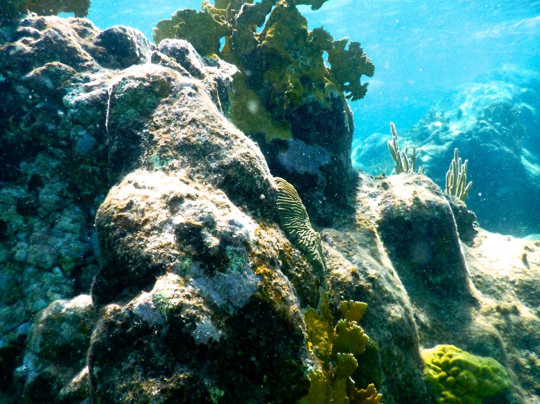 White Wing Sailing-Coral Bay必去景点