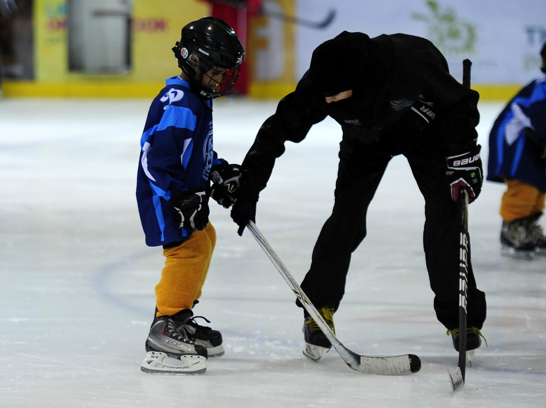 阿布扎比滑冰场-阿布扎比必去景点