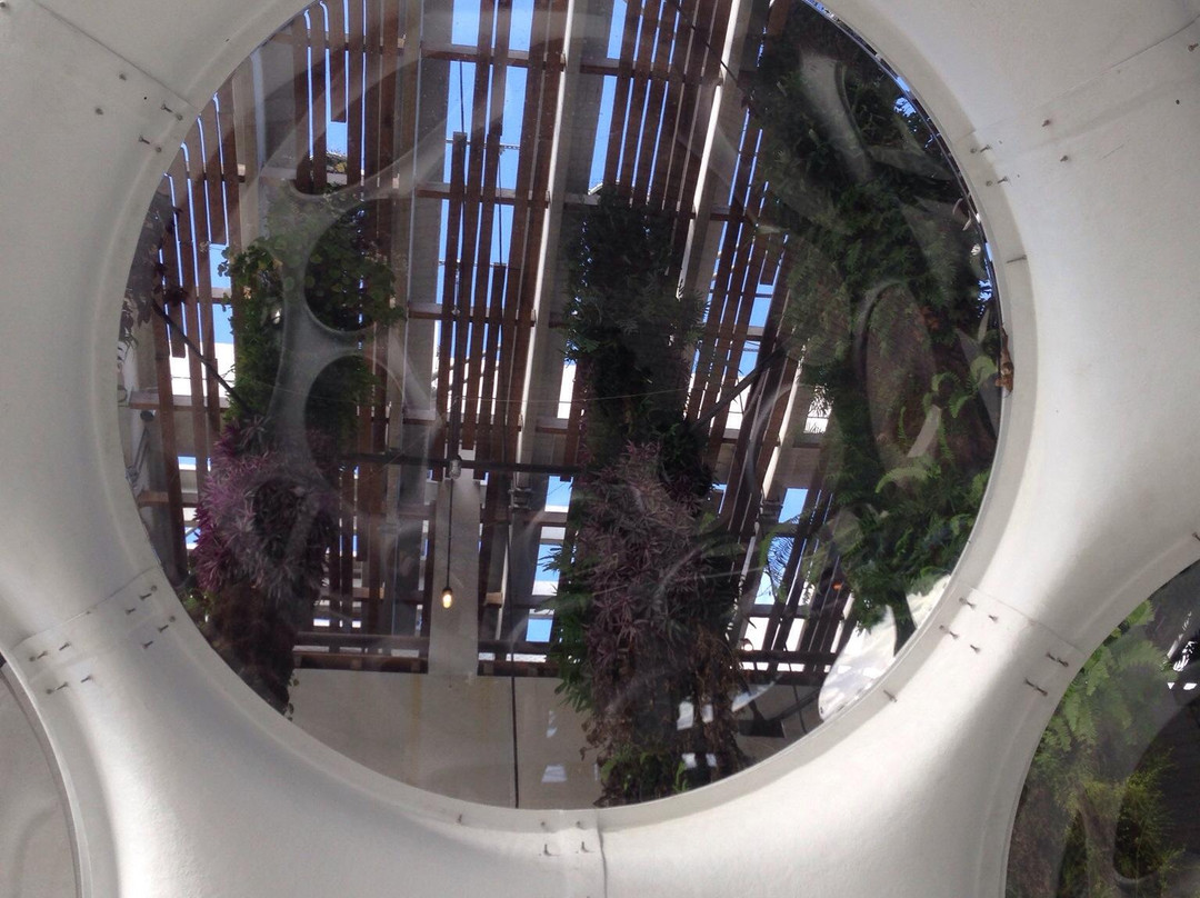 迈阿密佩雷兹美术馆-迈阿密必去景点