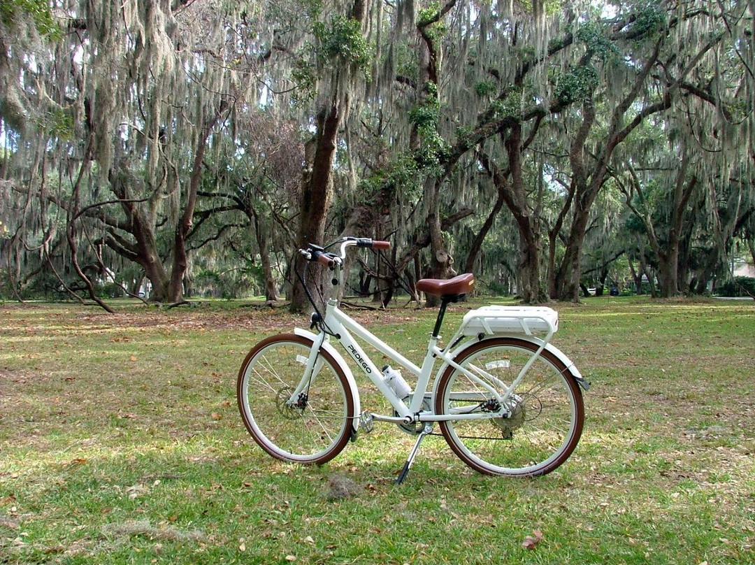 St. Simons Island-圣西蒙斯岛必去景点