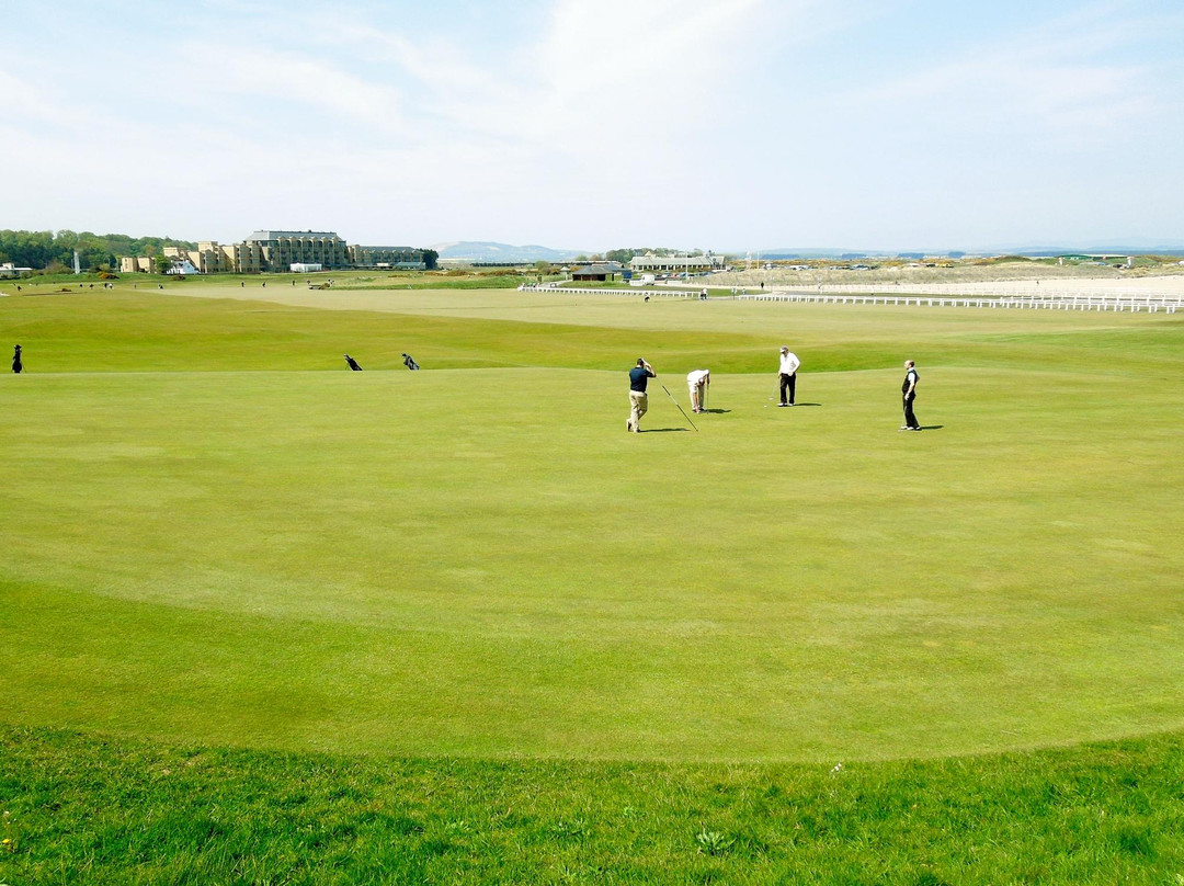 St Andrews West Sands Beach-圣安德鲁斯必去景点