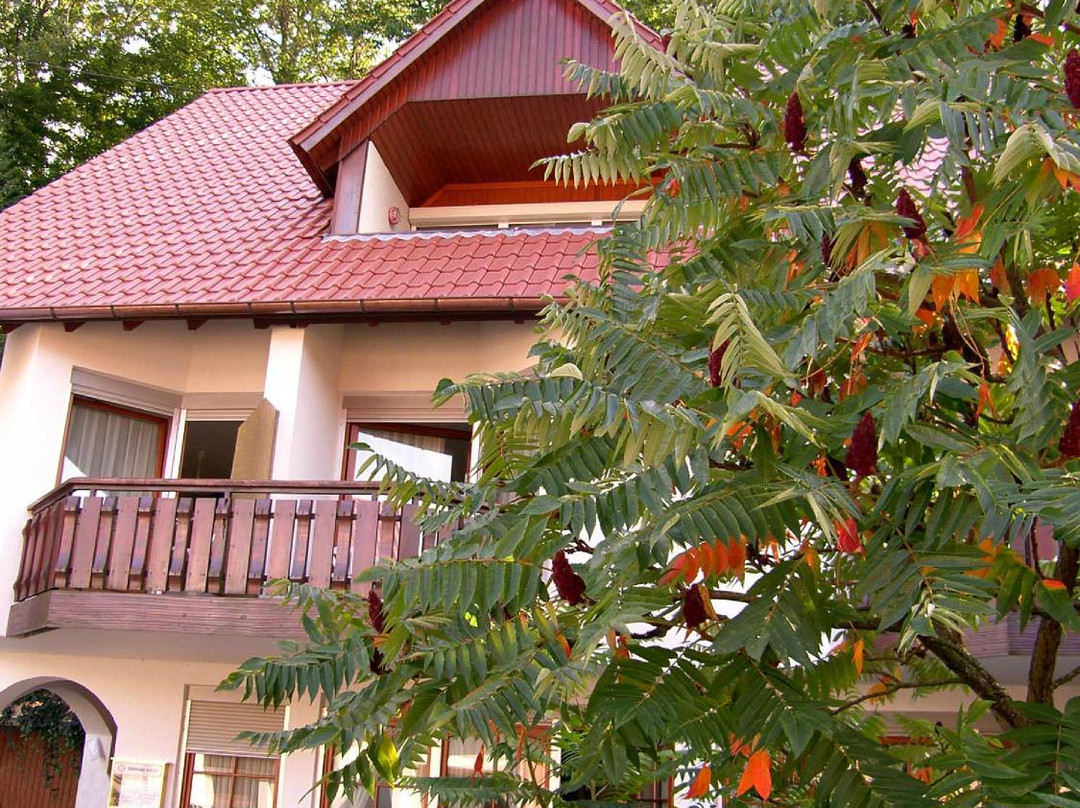 Ohlsbach酒店住宿-Gastehaus Eckenfels