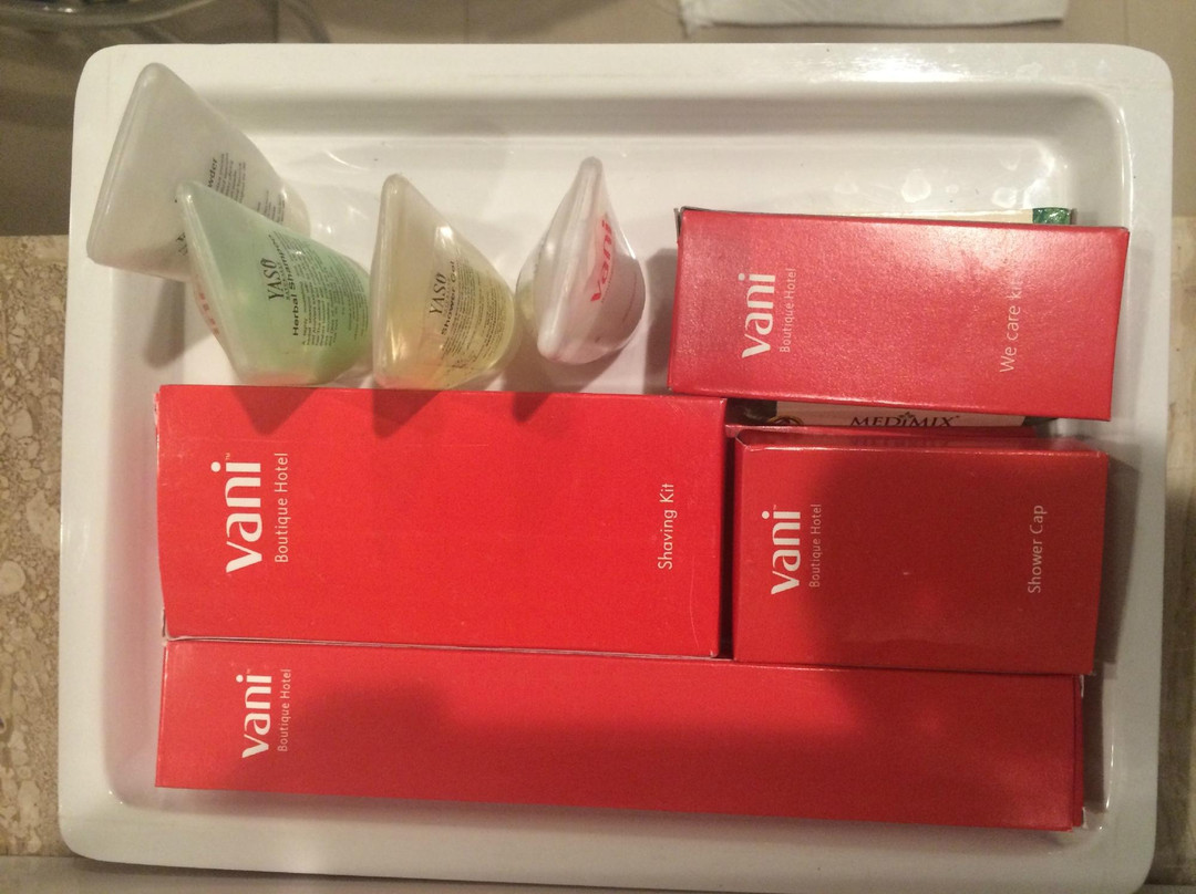 Vani Boutique Hotel主图