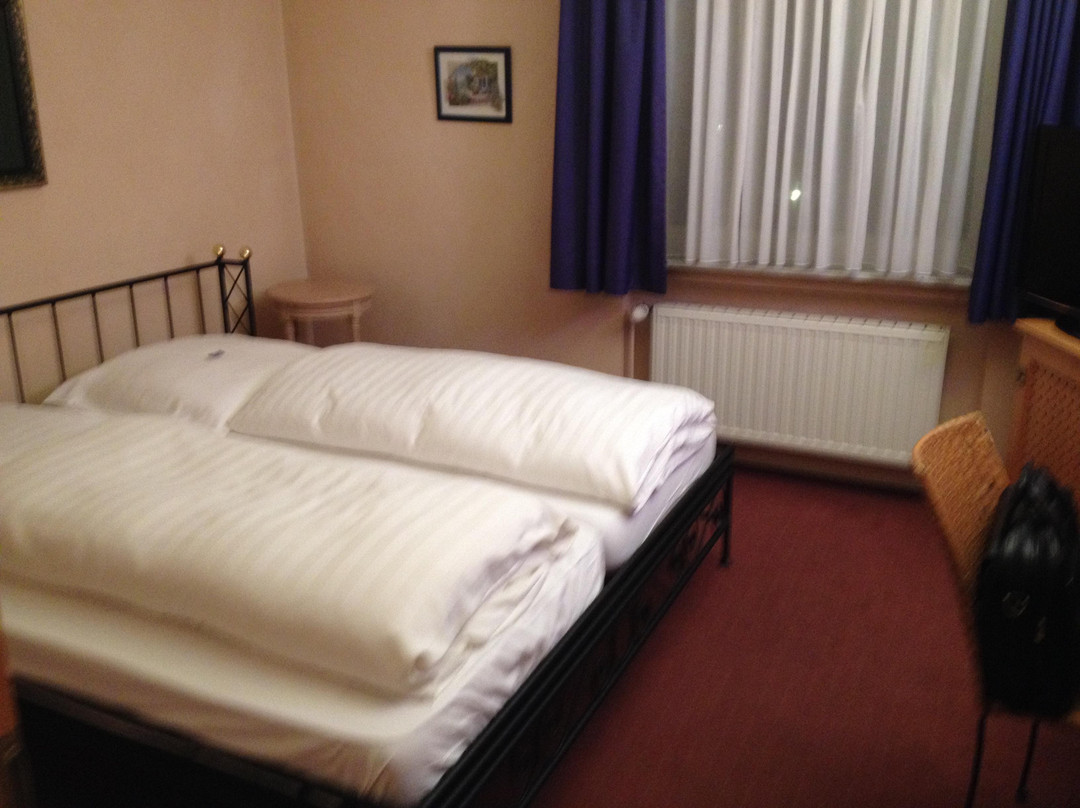 Hotel und Restaurant La Scala主图