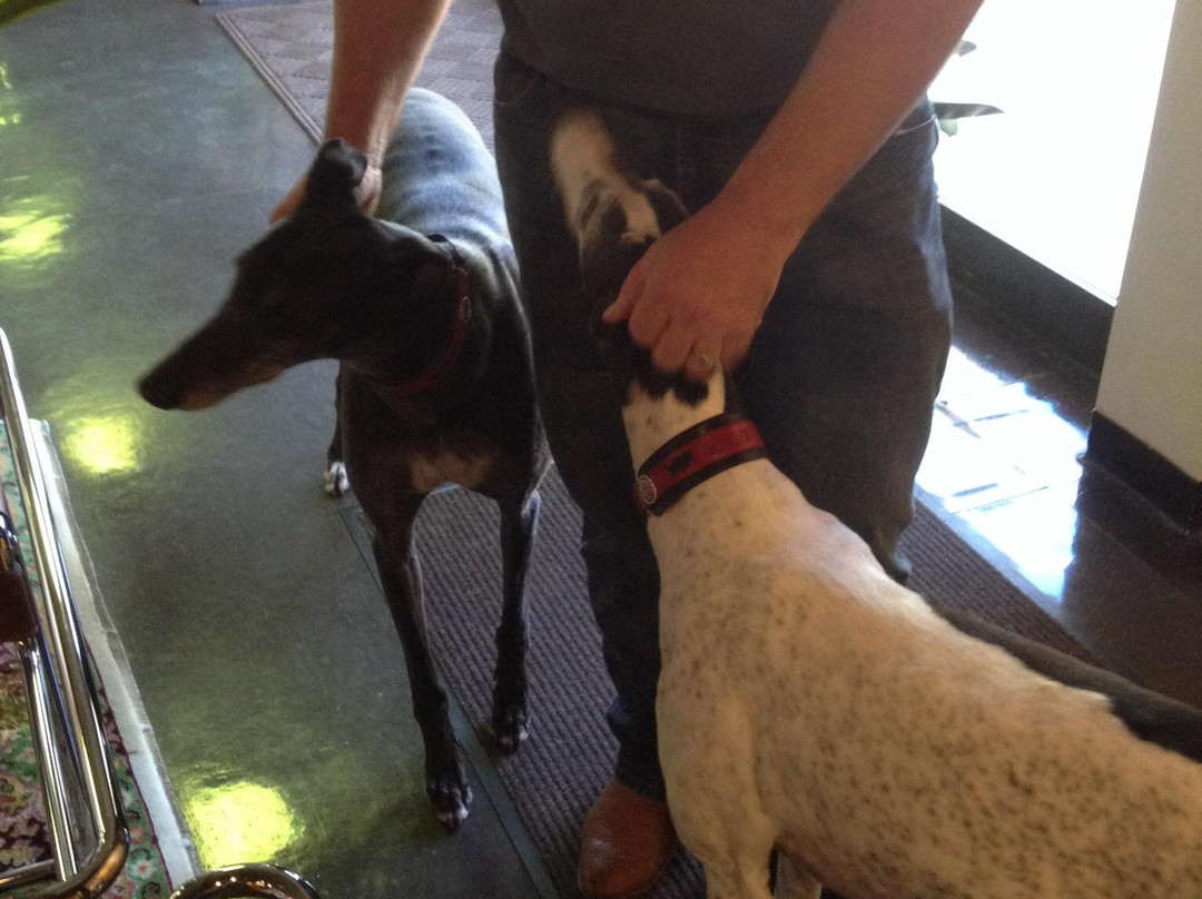 Greyhound Hall of Fame-Abilene必去景点