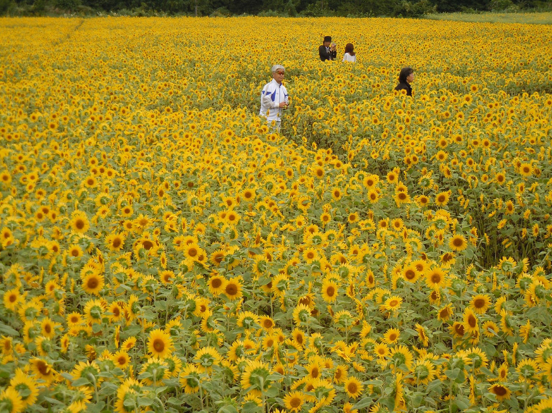Aobako Communication Center-八户市必去景点