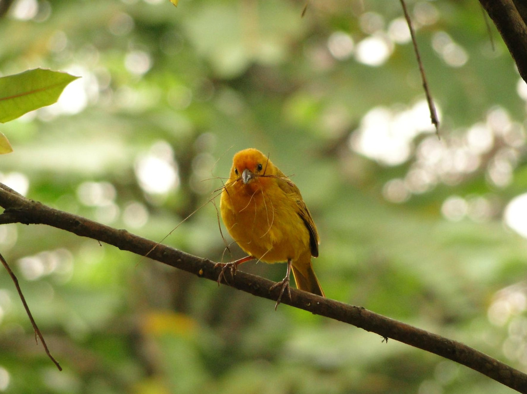 Mariposario Andoke-卡利必去景点