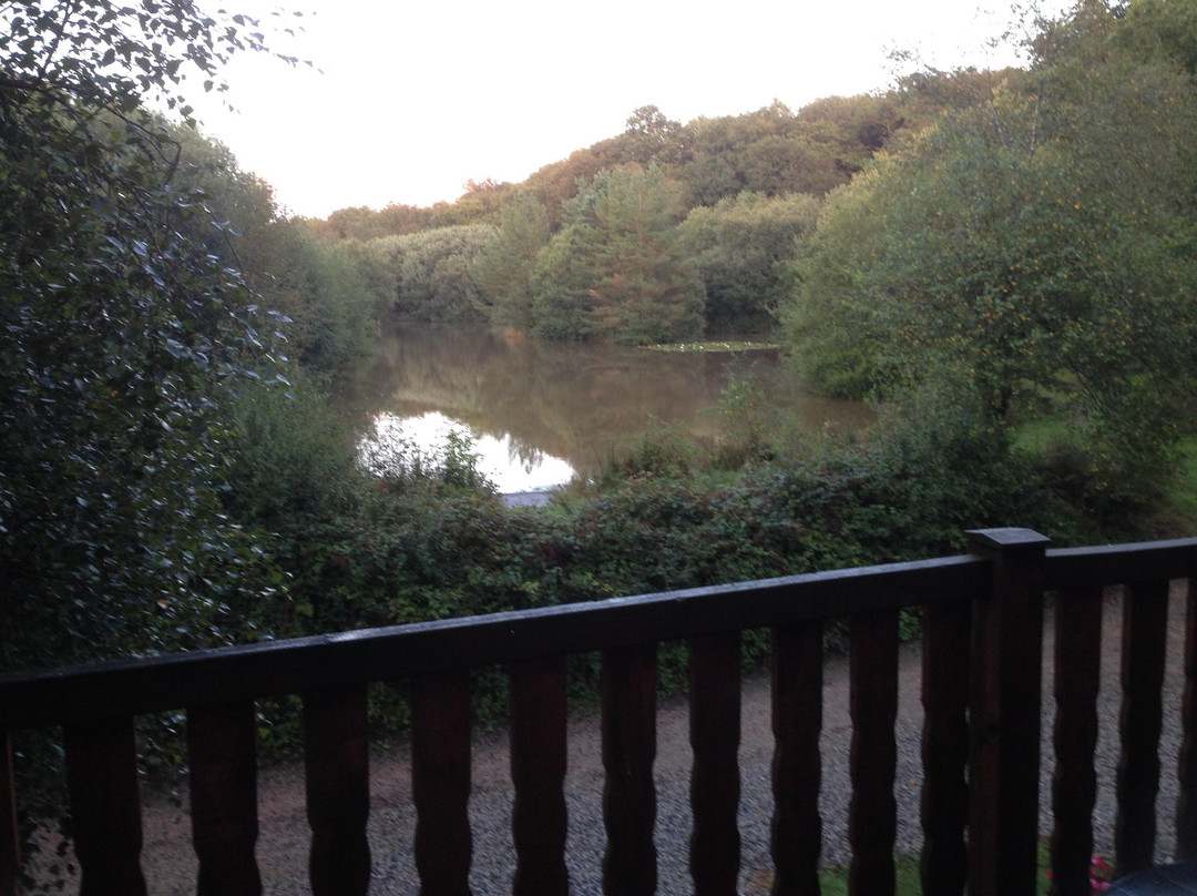 Kingslakes Holiday Cottages-埃克塞特必去景点