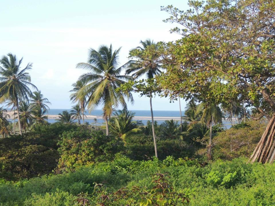 Piriquara Beach (Coqueiros)