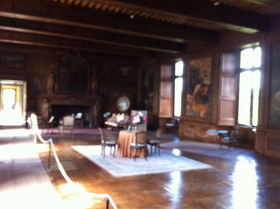 Chateau de Jumilhac景点图片