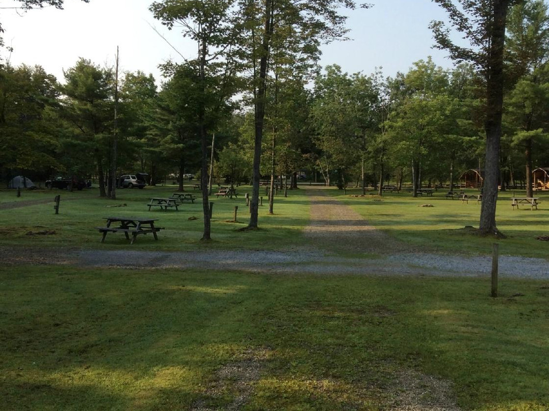 Kinzua East Kampground