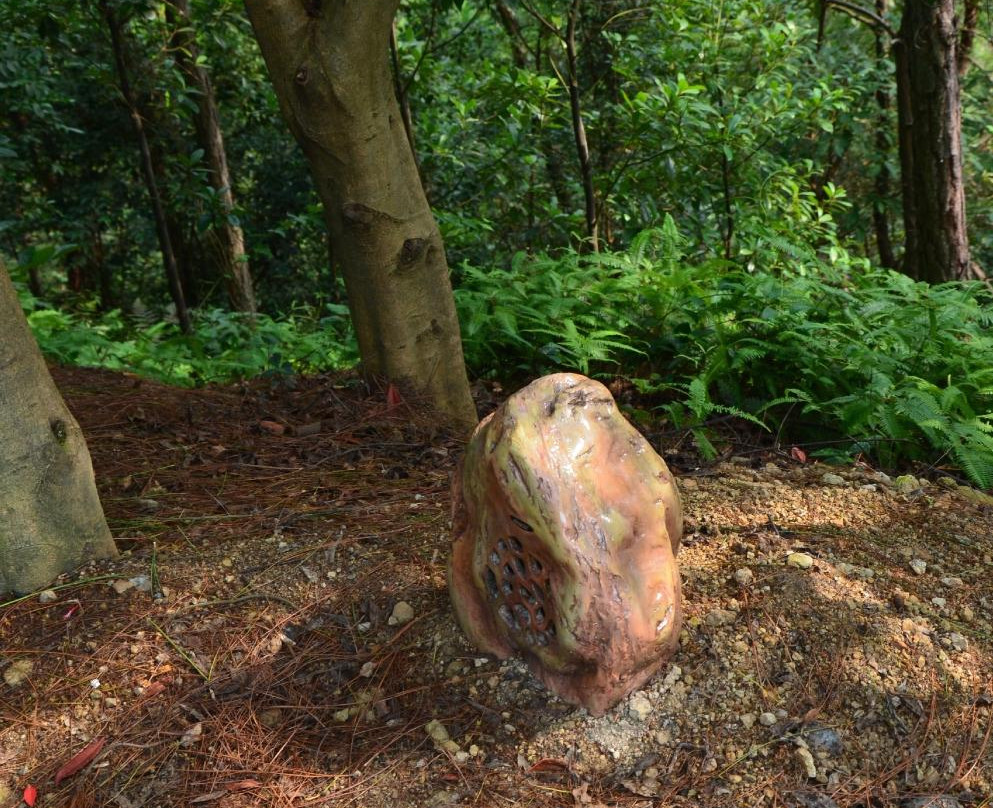 丽水莲都白云山景点图片
