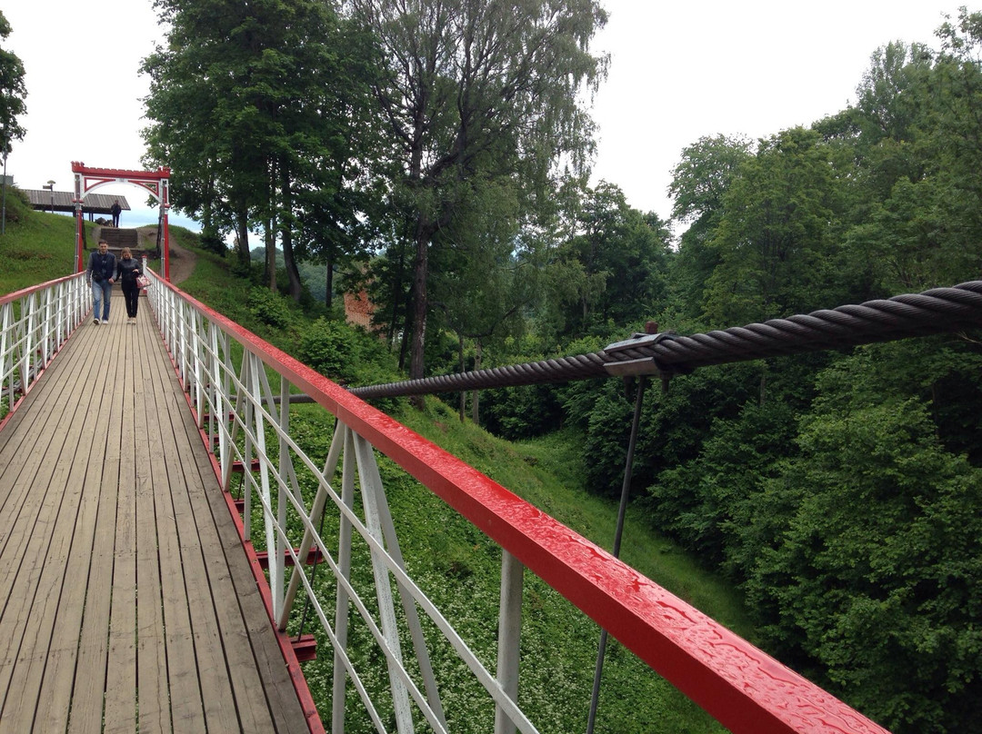 Viljandi Rope Bridge-维尔扬迪必去景点
