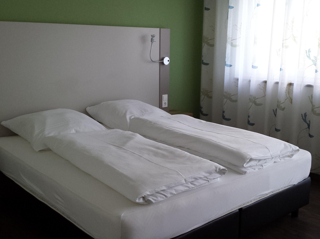 塞利根施塔特酒店住宿-Landgasthof Neubauer