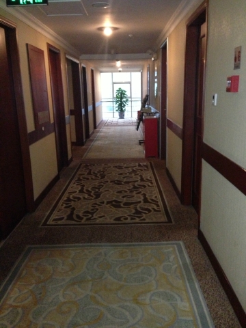 重庆劲力酒店（重庆奥体中心石桥铺地铁站店）-酒店景观