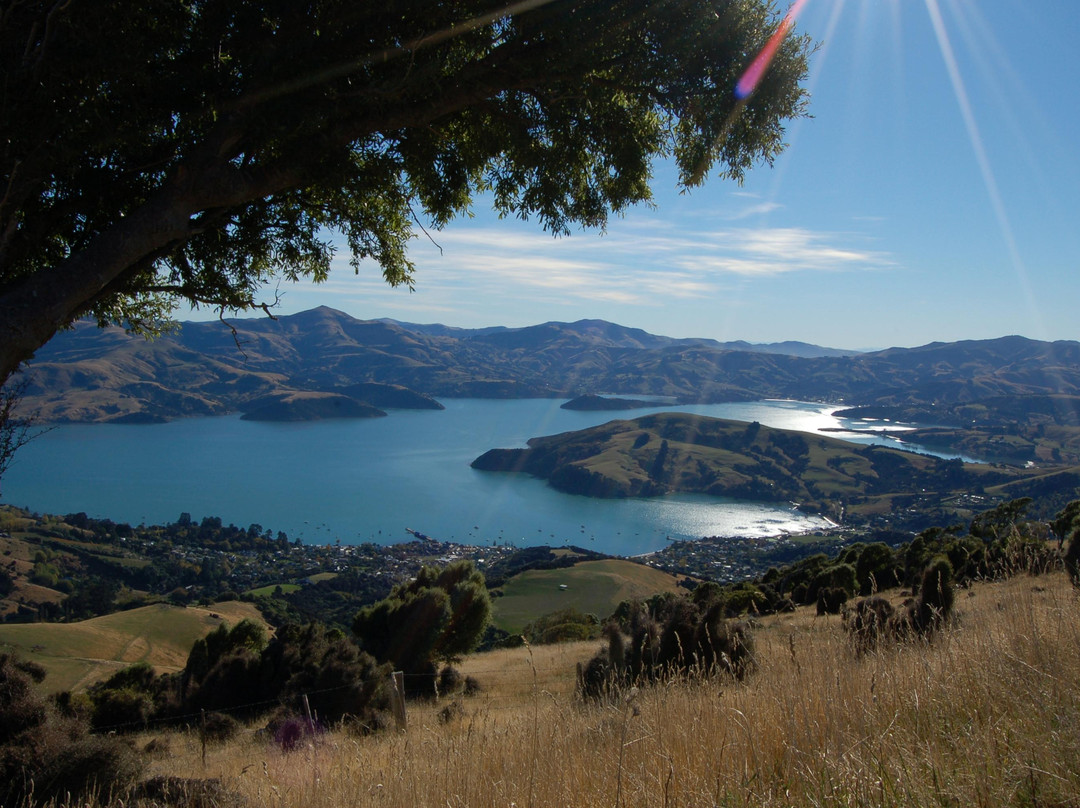 Akaroa Shuttle景点图片