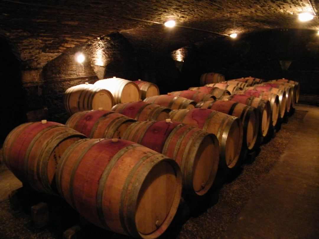 Bourgogne A La Carte Burgund Experiment  Tours-沙尼必去景点