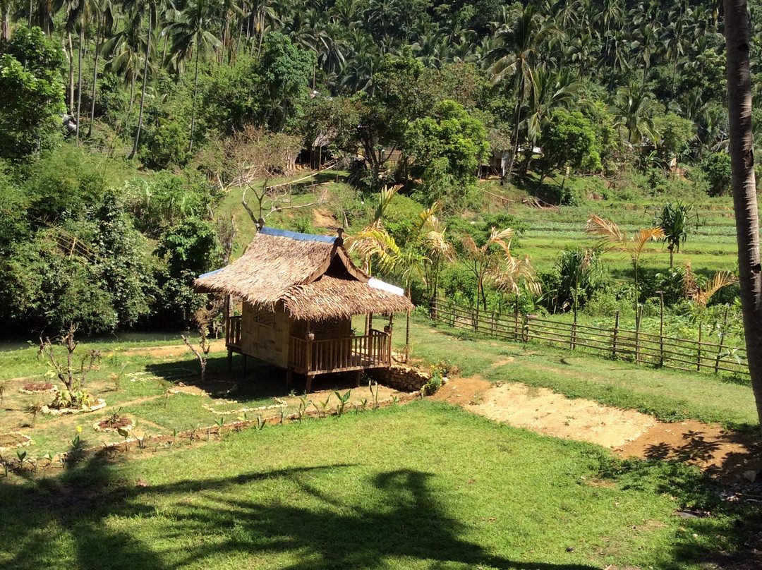 Hacienda Maria景点图片