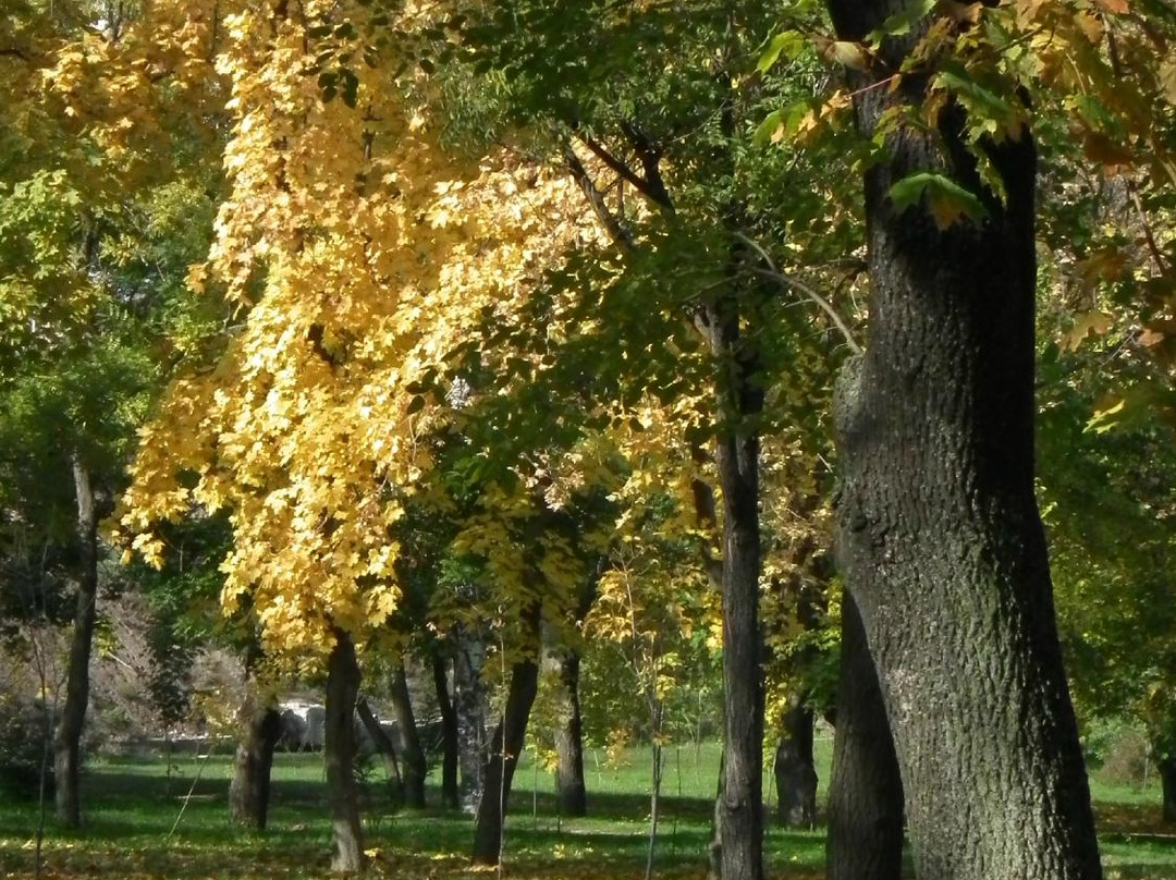 Primorskiy Park景点图片