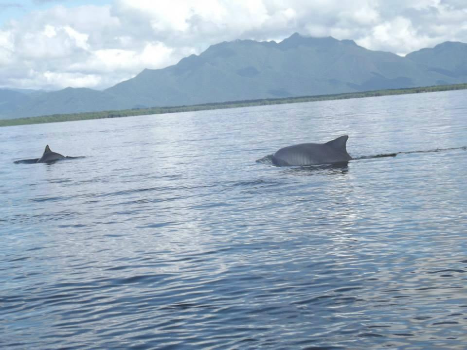 Praia Do Pereirinha-卡纳内亚必去景点