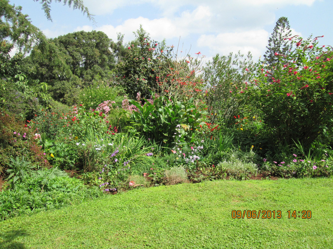 Kiambethu Farm-黎木鲁必去景点