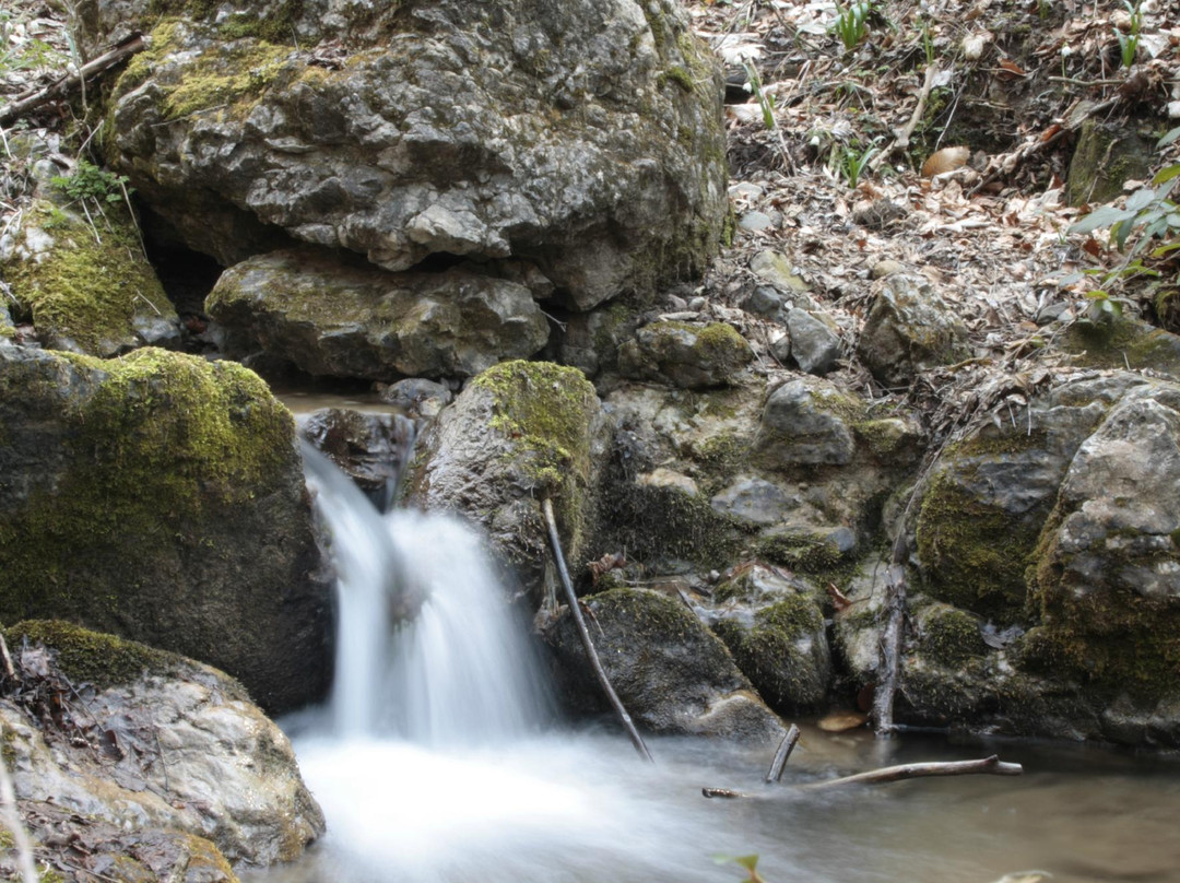 Cassina Valsassina旅游攻略图片