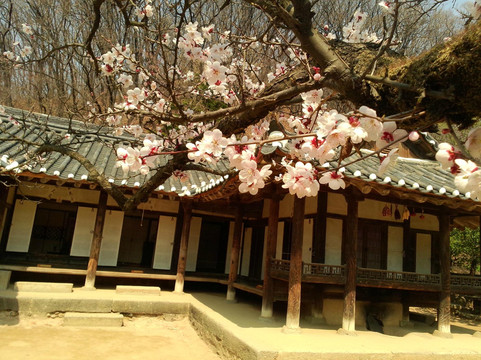 Exclusive Tour Korea - Private Day Tours-首尔必去景点