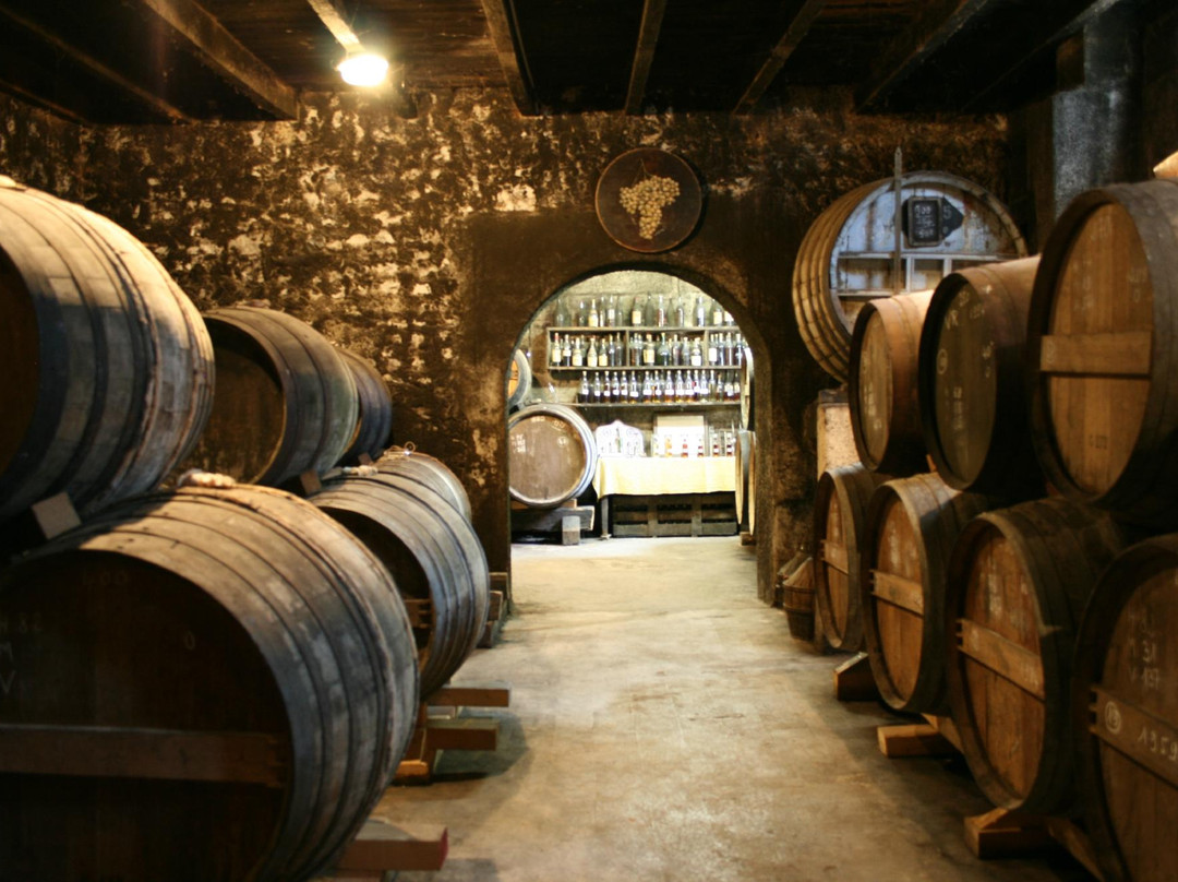 Cognac Painturaud Freres景点图片