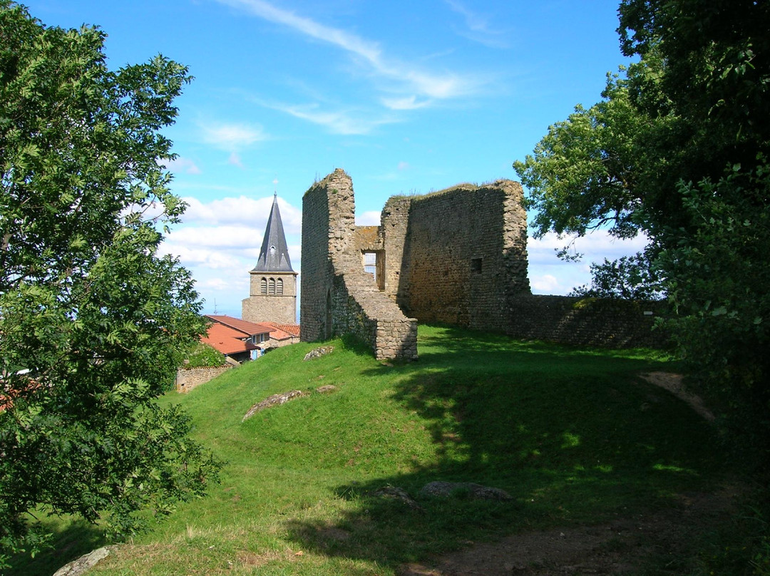 Saint-Martin-en-Haut旅游攻略图片