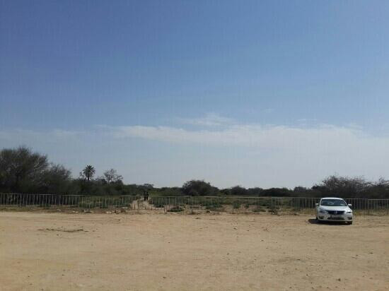 Film City-Al-Rayyan必去景点