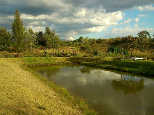 Kahurura酒店住宿-Moof Africa Organic Hostel / Camp
