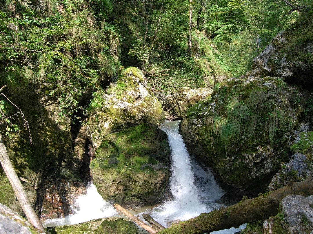 Apuseni Natural Park景点图片