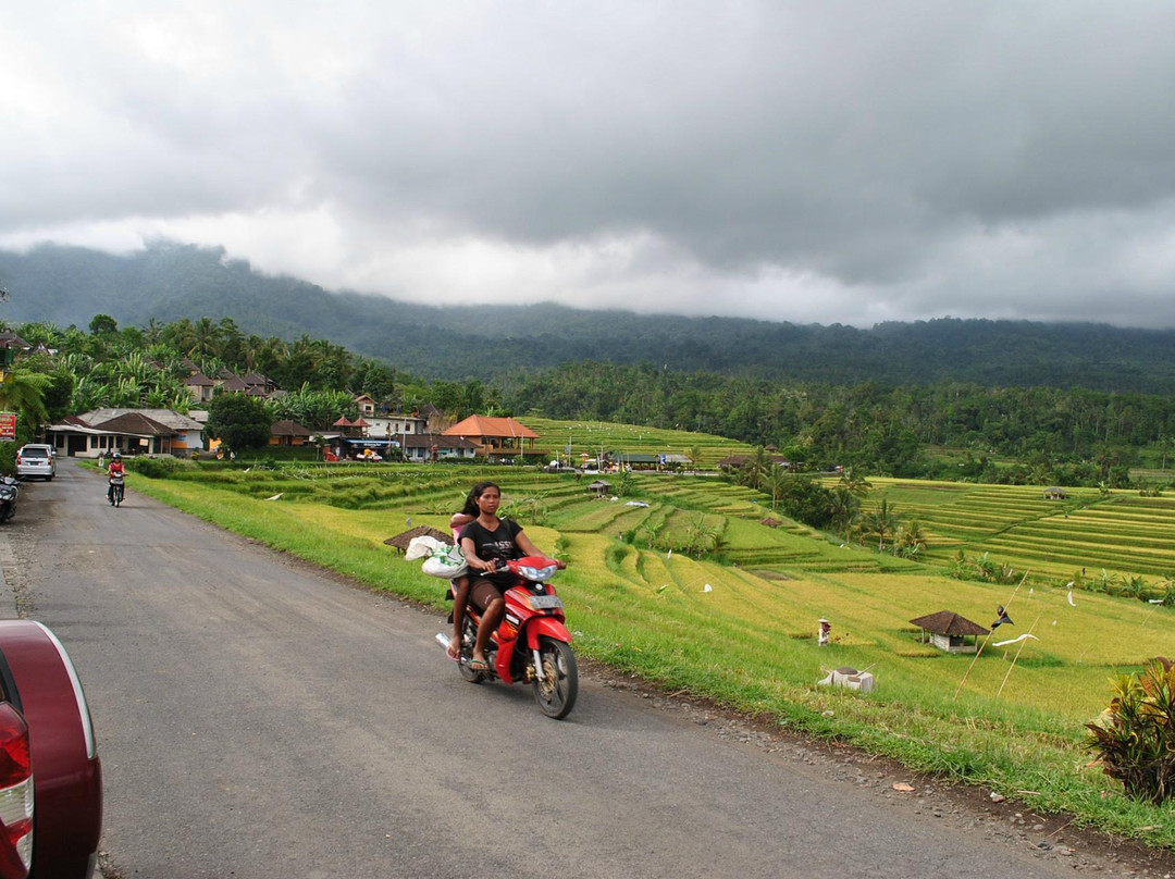Tamatur Bali-登巴萨必去景点