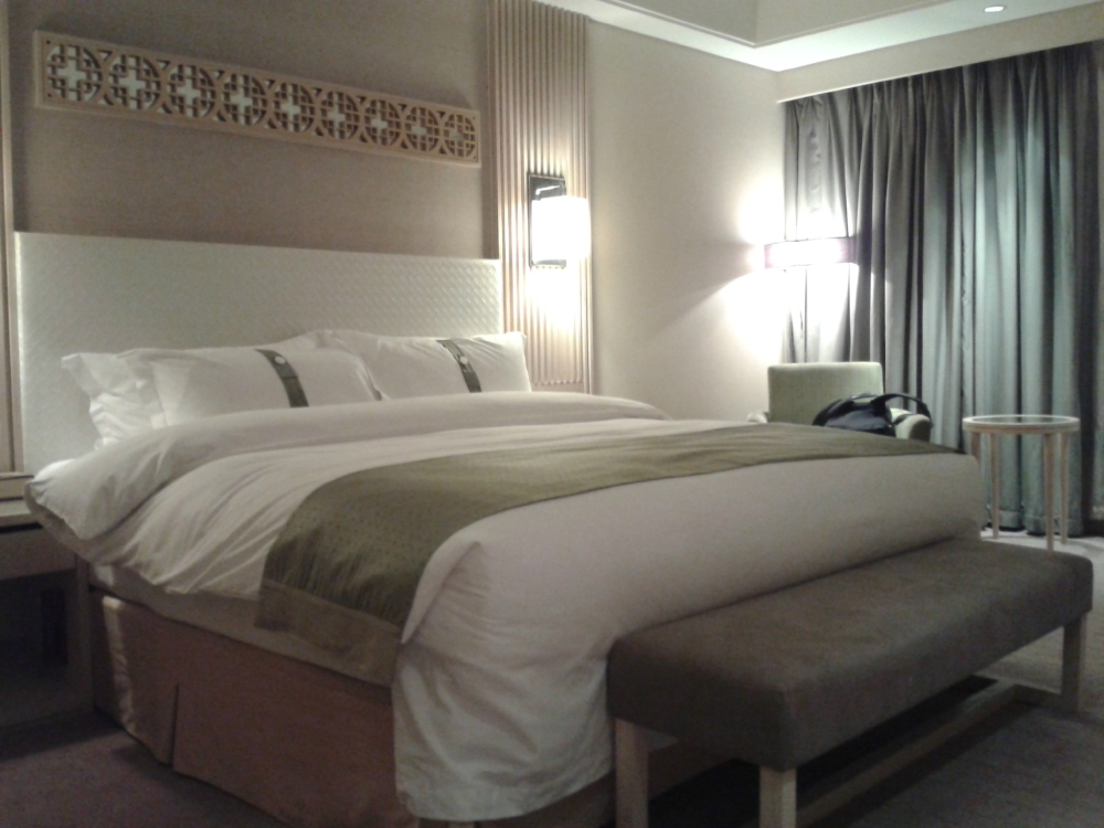 大同贵宾楼假日酒店-客卧