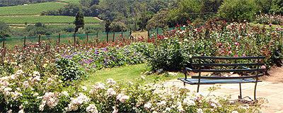 Chart Farm-开普敦中心区必去景点