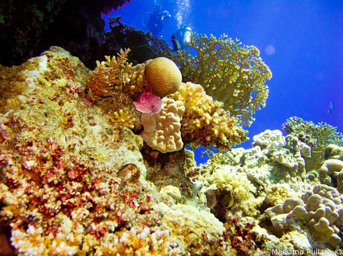 Subacquei Clandestini CCF Sharm