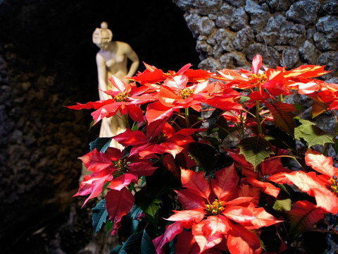 须磨离宫公园-神户市必去景点