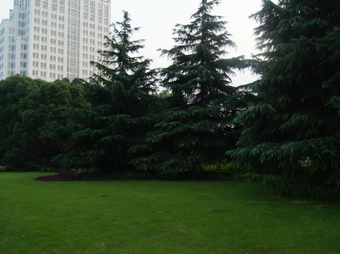 上海维也纳酒店松江店主图