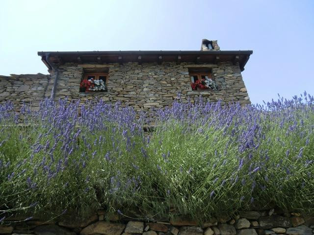 Agriturismo La Fontana dell'Olmo