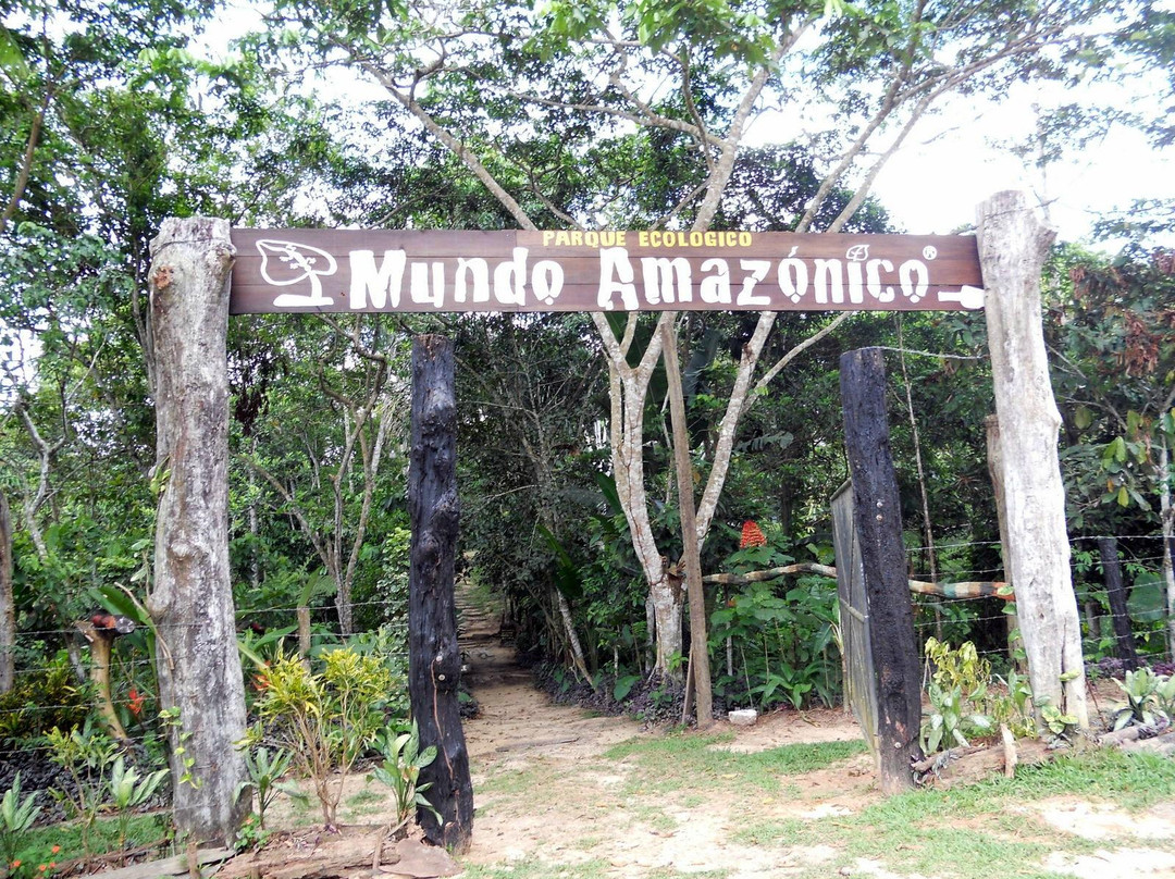 Parque Ecologico Mundo Amazonico景点图片