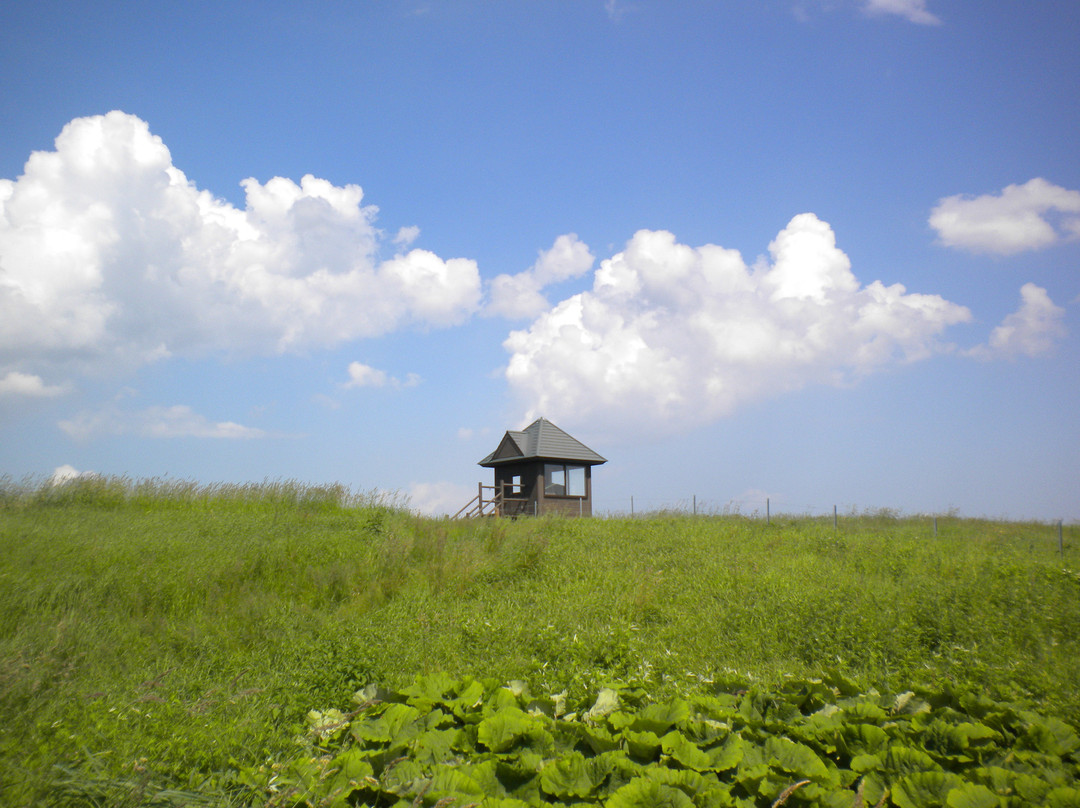 标茶町多和平-标茶町必去景点