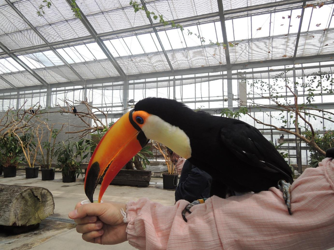 神戶動物王國-神户市必去景点