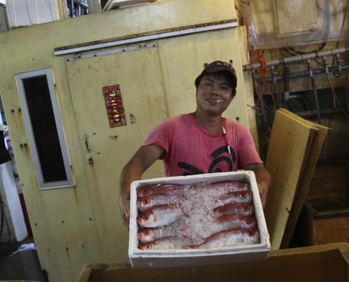 仔鱼市场-香港必去景点