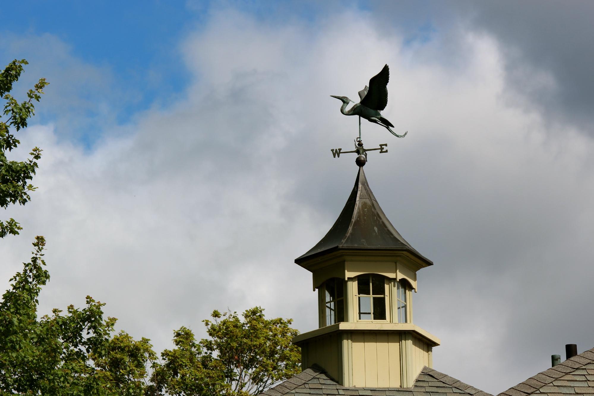 Thyme Again Gardens-浴室