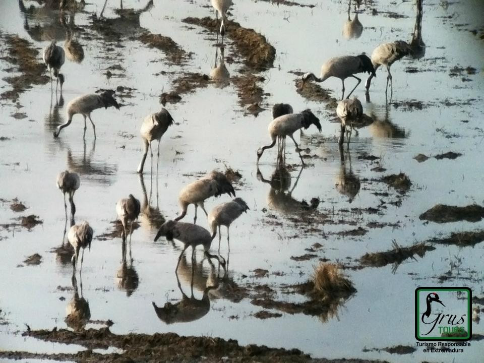 Grus Tours - Private Tours景点图片
