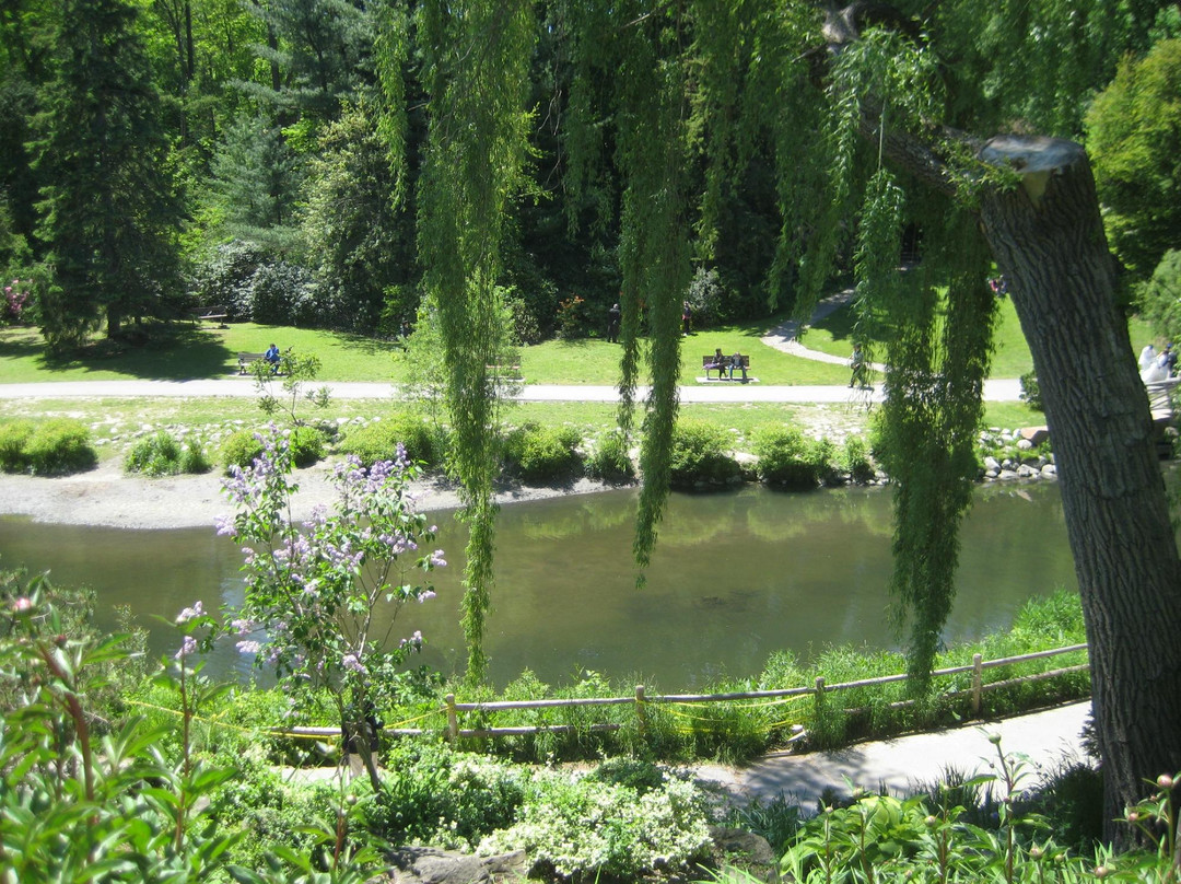 爱德华公园-多伦多必去景点