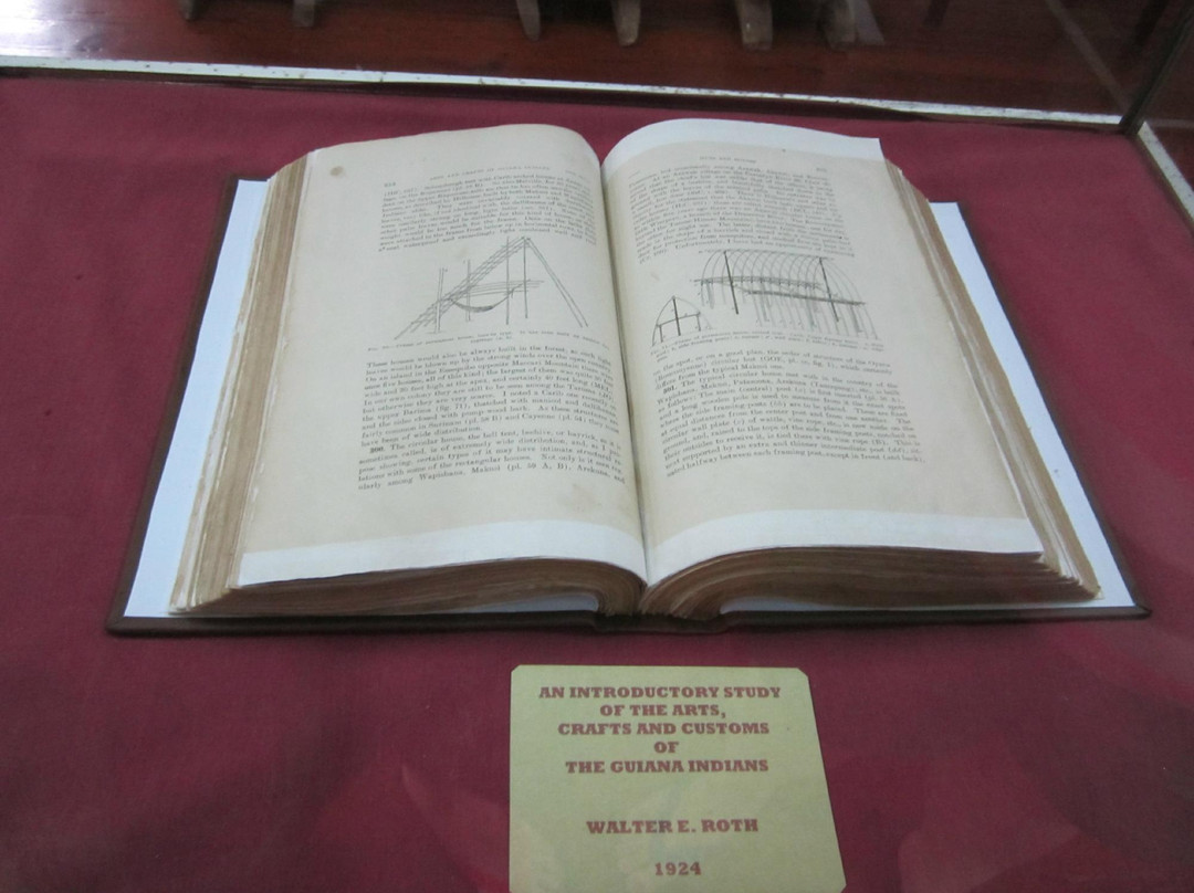 Walter Roth Museum of Anthropology景点图片