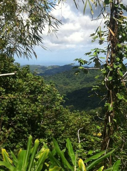 Eco Action Tours-Las Croabas必去景点